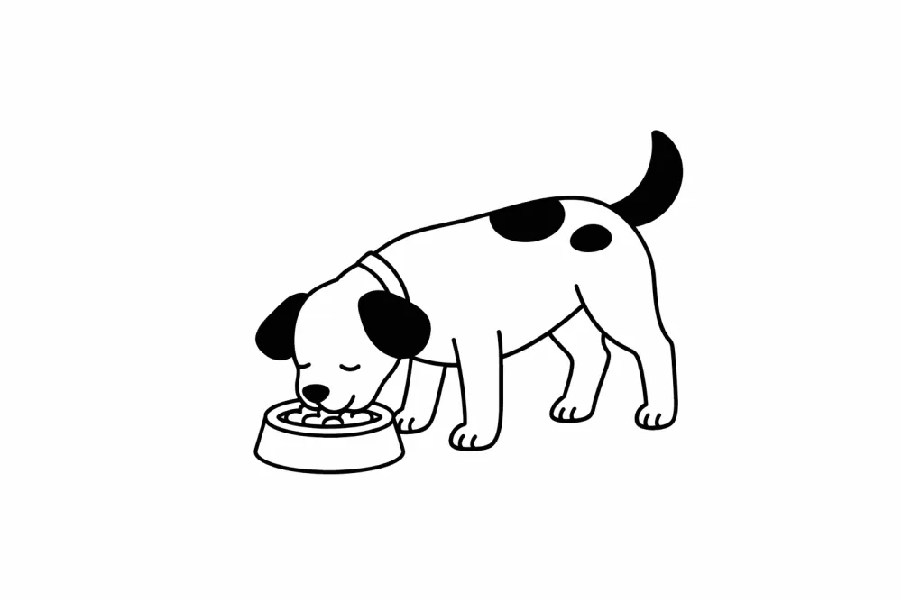 Hond eet uit zijn voerbak — tips over medicatie toedienen bij je hond in Hoorn
