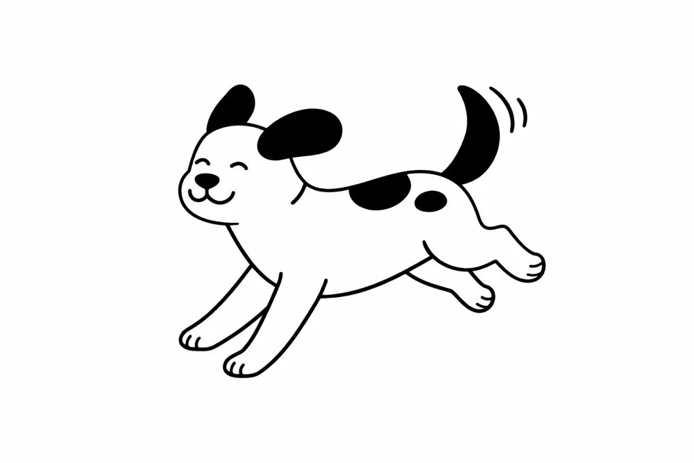Hond rent blij buiten in de open polders rond Zwaag